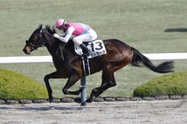【阪神1R】ジャンタルマンタル半妹は5着…ストラーダが初勝利