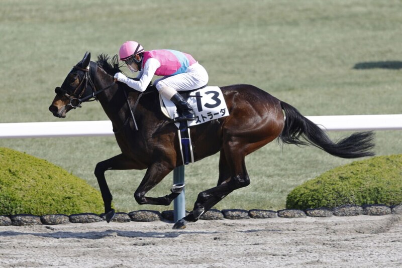 【阪神1R】ジャンタルマンタル半妹は5着…ストラーダが初勝利