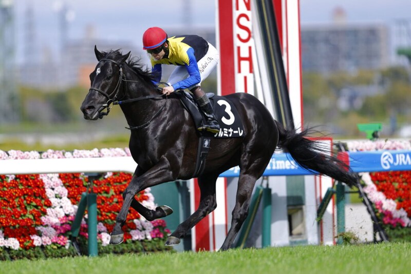 【千里山特別】クルミナーレが3馬身差完勝…人気に応える