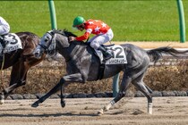 【中山7R】レッドスティンガーが人気に応えて2勝目