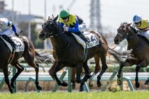 【中山5R】良血ウィロークリークが人気に応える
