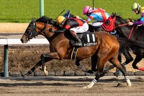 【上総S】8番人気伏兵マーズオデッセイが快勝、オープンクラス入り