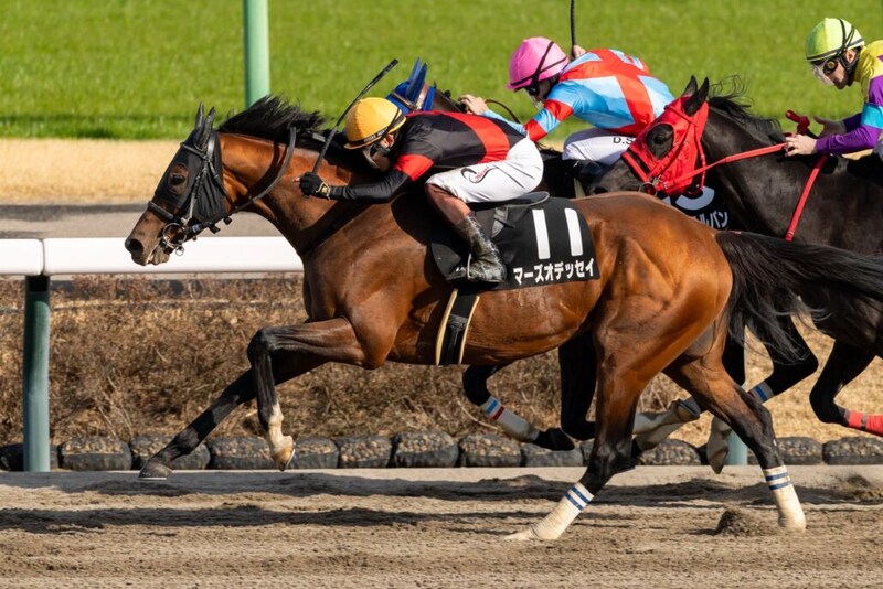 【上総S】8番人気伏兵マーズオデッセイが快勝、オープンクラス入り