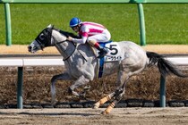 【中山8R】単勝1.4倍ホークライトが7馬身差圧勝…惜敗続きに終止符