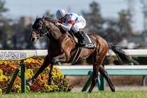 【湾岸S】横山典弘騎手がJRA通算3000勝の大記録達成…マイユニバースで人気に応える