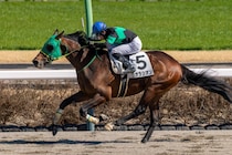【中山8R】12番人気ラオラシオンが波乱を演出…3連単は143万円超
