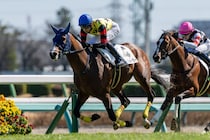 【中山7R】坂井瑠ディールメーカーが人気に応える…白毛のマルガは7着