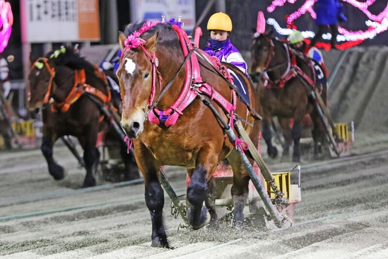 【ばんえい・ポプラ賞】阿部優哉騎手がデビュー93日で重賞初制覇の快挙
