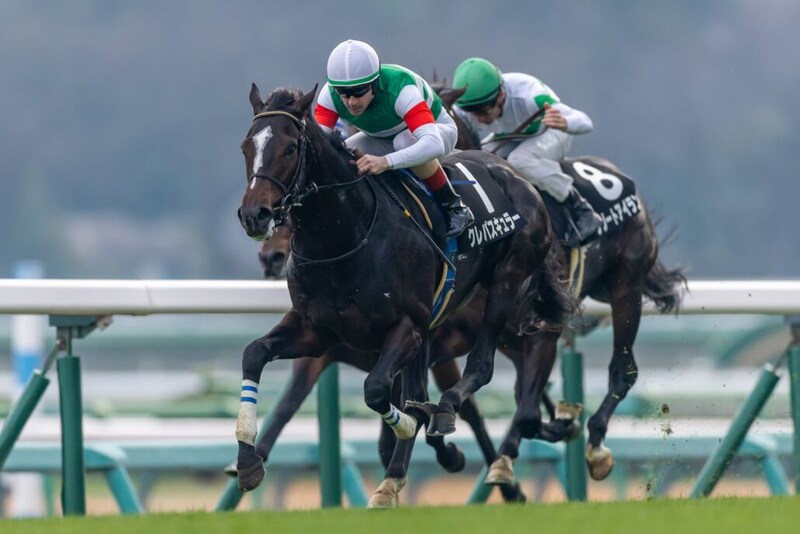 【スプリングS登録馬】連勝中クレパスキュラーなど17頭