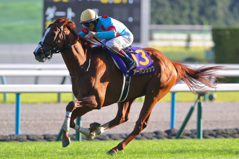 【金鯱賞登録馬】菊花賞馬アーバンシックなど14頭