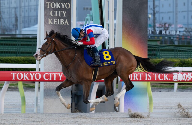 【大井・フジノウェーブ記念】ナンセイホワイト距離短縮で弾けた!安藤洋一「1400mは絶対に大丈夫と思っていた」