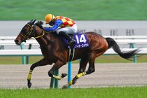 テーオーロイヤルが引退、種牡馬入り