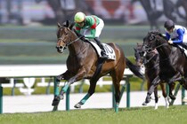【阪神5R】良血エンネの直線一気炸裂…半兄にはファントムシーフ
