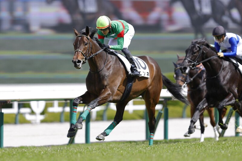 【阪神5R】良血エンネの直線一気炸裂…半兄にはファントムシーフ