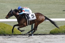 柴田卓調教師が初勝利