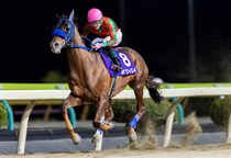 【水沢・駒形賞】8歳ボウトロイが圧巻の4馬身差V…91戦目で重賞初制覇
