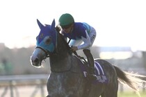 【阪神大賞典登録馬】アドマイヤテラなど11頭