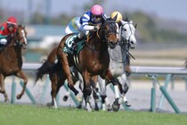 【愛知杯登録馬】連覇かかるワイドラトゥールなど21頭