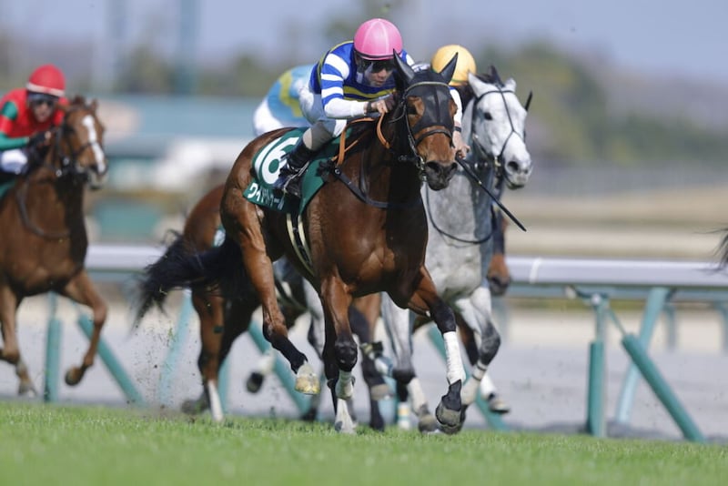 【愛知杯登録馬】連覇かかるワイドラトゥールなど21頭