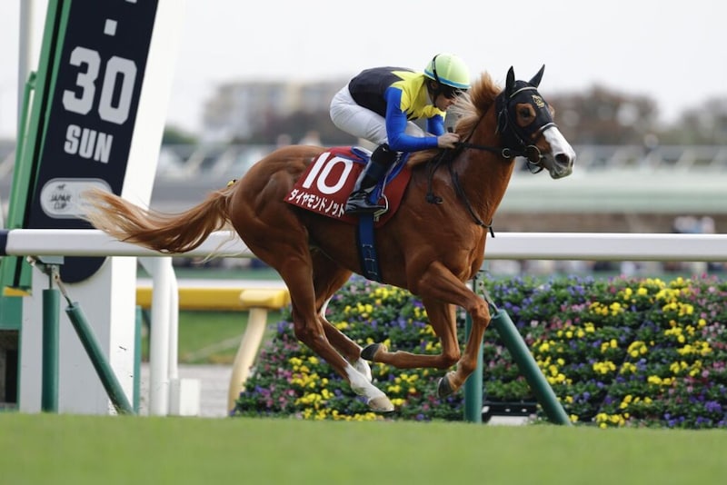 【ファルコンS登録馬】ダイヤモンドノットなど20頭