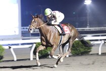 【高知・八畳岩特別】破竹の5連勝！スカンジナビアが格の違い見せV