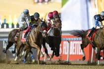 【ドバイWCデー】フォーエバーヤングなど6頭が出走予定