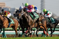 【フラワーC】良血スマートプリエールが重賞初制覇…原優介も嬉しい初タイトル