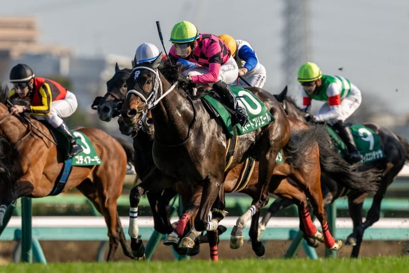 【フラワーC】良血スマートプリエールが重賞初制覇…原優介も嬉しい初タイトル