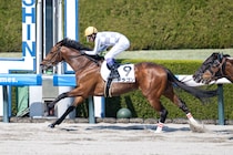 【阪神8R】武豊ドラゴンが人気に応える