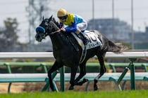 【中山6R】レイデオロ産駒 スペルーチェが断然の支持に応える