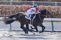 【中京1R】単勝1.1倍コルヴァスが人気に応える