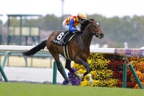 【フローラルウォーク賞】8番人気テーオーアルアインが最内強襲、鮮やかV
