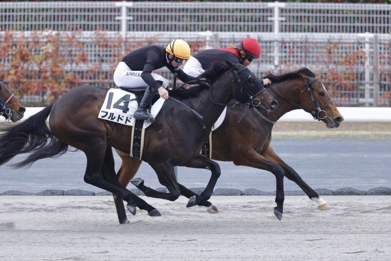 【中京12R】今村聖奈が1日2勝…シルフズミスチーフで接戦を制す