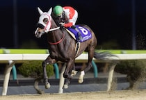 【水沢・あやめ賞】セイクリスティーナ、遊びながら5馬身差V