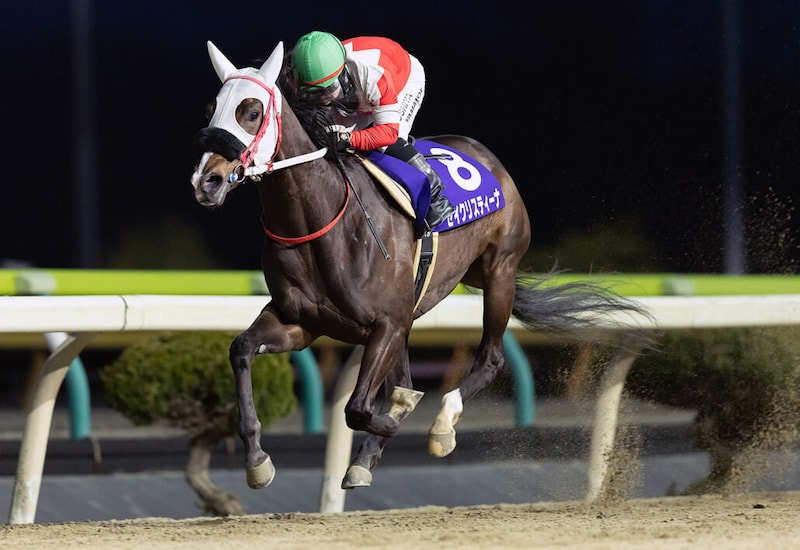 【水沢・あやめ賞】セイクリスティーナ、遊びながら5馬身差V