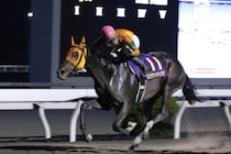 【高知・ネクストスター西日本】岡村「騎手人生においてもカツテナイほどの馬」カツテナイオイシサが重賞連勝