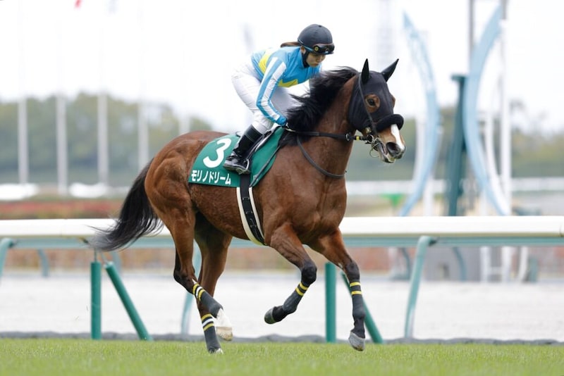 小林美駒は愛知杯15着…女性ジョッキー結果