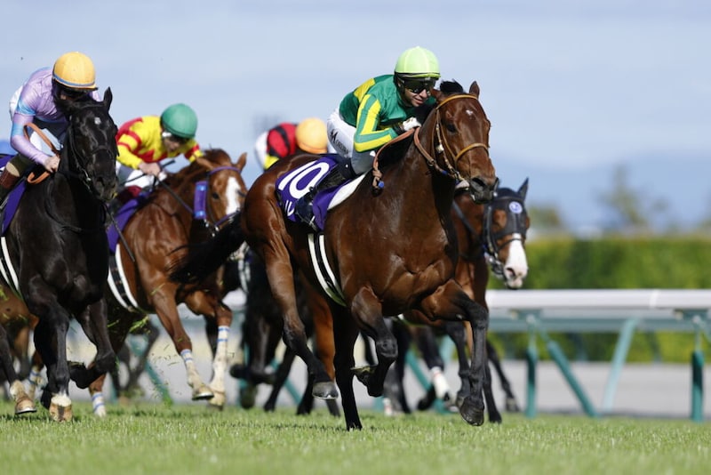 【高松宮記念登録馬】連覇かかるサトノレーヴなど22頭