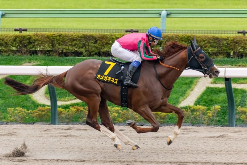 【マーチS登録馬】オメガギネスなど24頭