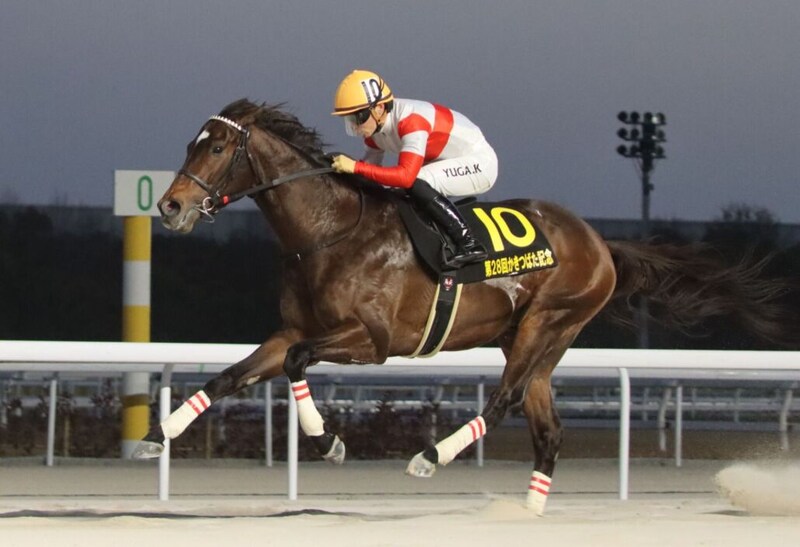 【黒船賞】ダノンフィーゴは6枠8番へ