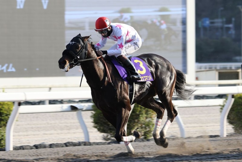 【黒船賞】人気のダノンフィーゴを封じた、マテンロウコマンドが完勝V