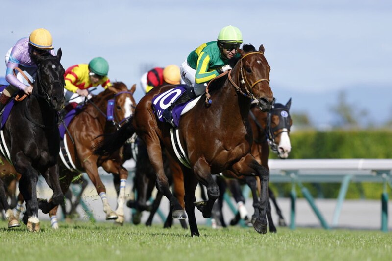 【高松宮記念】サトノレーヴは530kg…出走馬調教後の馬体重