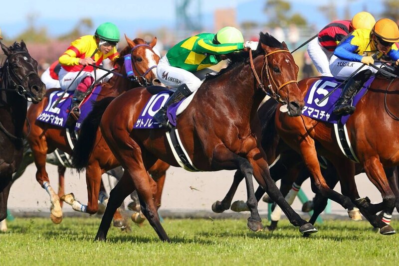 【高松宮記念】連覇かかるサトノレーヴは5枠9番へ…ラストランのナムラクレアは7枠13番から