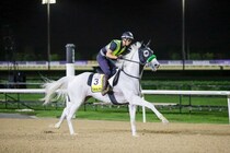 【ドバイターフ】世界の壁に挑戦！ガイアフォースが海外G1制覇へ
