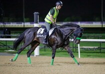 【アルクオーツスプリント】ルガルが世界の快速王へ挑戦…メイダン芝1200mでG1獲りへ