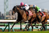 【日経賞】横山典弘マイユニバースが重賞初制覇