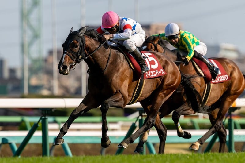 【日経賞】横山典弘マイユニバースが重賞初制覇