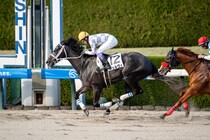 【阪神12R】武豊ギュルヴィが連勝