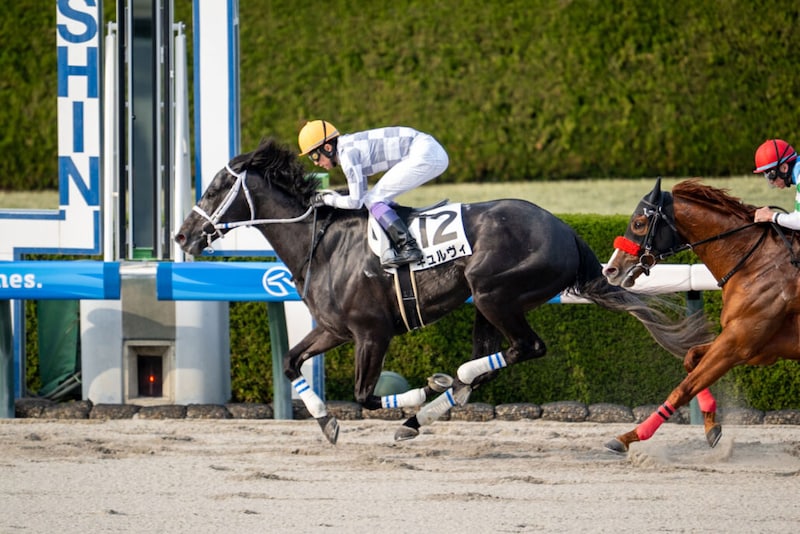 【阪神12R】武豊ギュルヴィが連勝