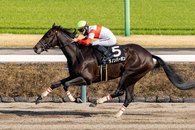 【伏竜S】ダノンバーボンが無傷の3連勝…ホリエモン愛馬は4着